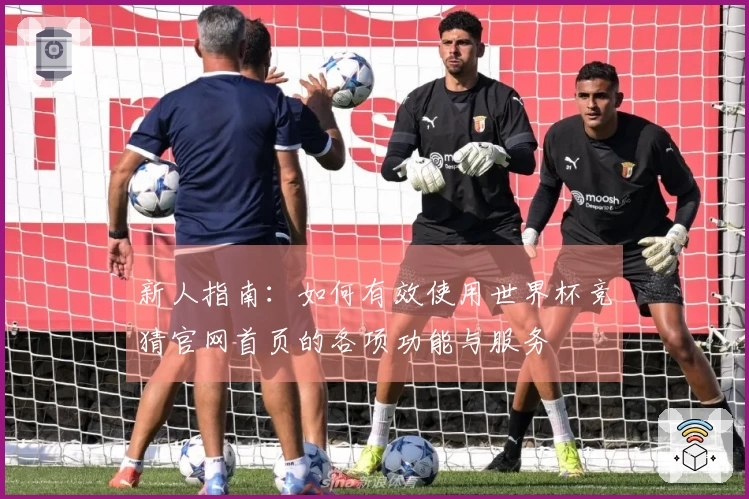 新人指南：如何有效使用世界杯竞猜官网首页的各项功能与服务