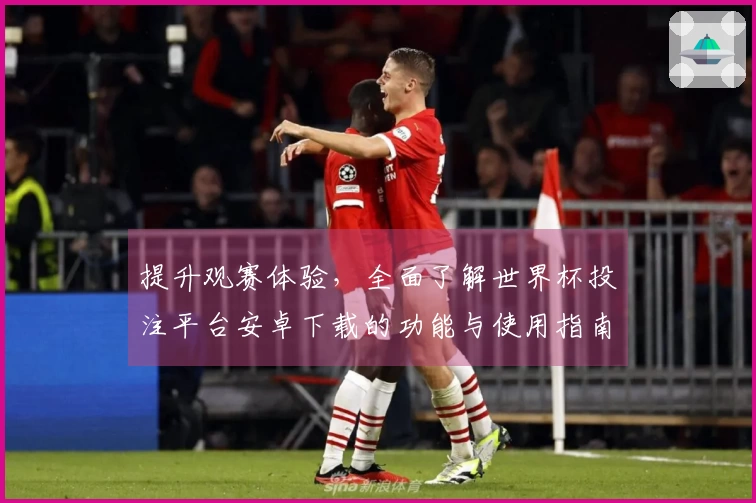 提升观赛体验，全面了解世界杯投注平台安卓下载的功能与使用指南